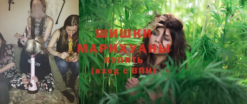 Бошки Шишки Ganja  Александровск-Сахалинский 